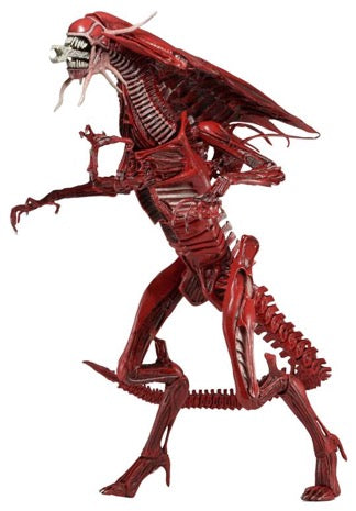 エイリアンフィギュア2点セット(赤〇)SF・ホラー alien Alien Genocide 15 Inch Action Figure Ultra Deluxe Series