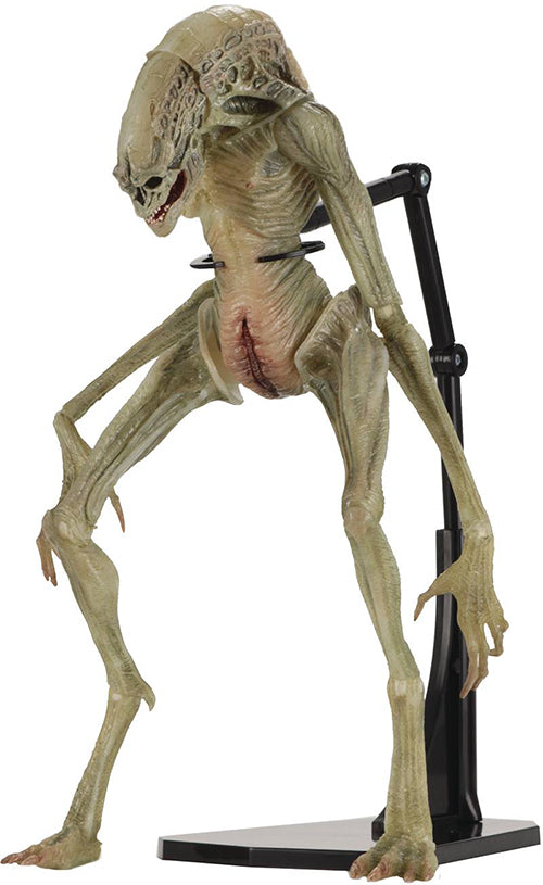Alien Resurrection 11 Inch Action Figure Deluxe Series - Newborn