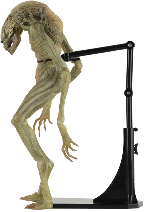Alien Resurrection 11 Inch Action Figure Deluxe Series - Newborn