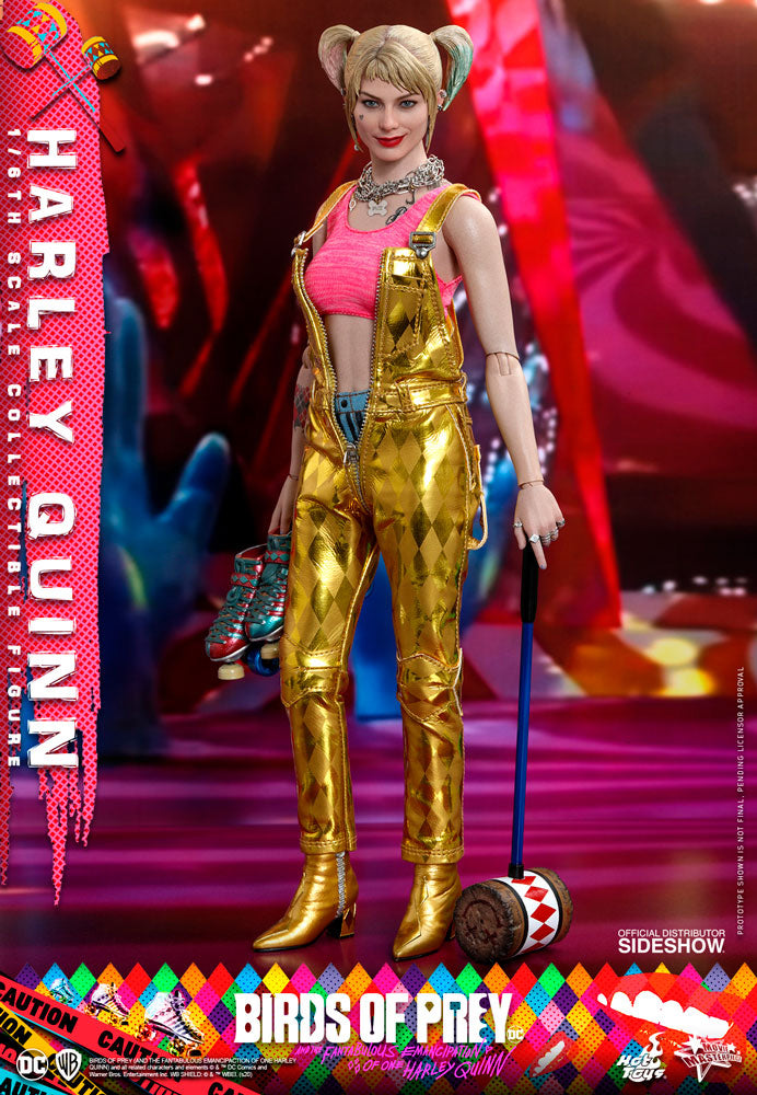 Birds Of Prey 11 Inch Action Figure 1/6 Scale Series - Harley