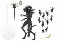 Alien Romulus 7 Inch Action Figure Ultimate - Scorched Xenomorph