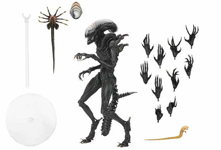 Alien Romulus 7 Inch Action Figure Ultimate - Scorched Xenomorph