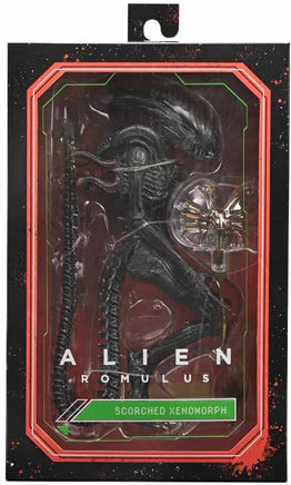 Alien Romulus 7 Inch Action Figure Ultimate - Scorched Xenomorph