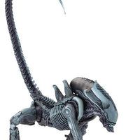 Aliens Classic Arcade 9 Inch Action Figure Arcade Alien Series - Arachnoid Alien