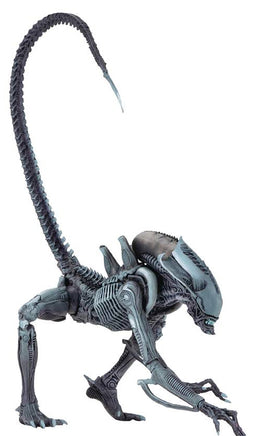 Aliens Classic Arcade 9 Inch Action Figure Arcade Alien Series - Arachnoid Alien