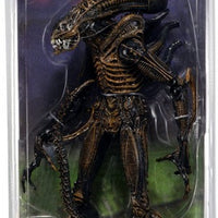 Aliens 9 Inch Action Figure Series 1 - Xenomorph Warrior