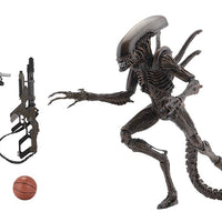 Aliens 9 Inch Action Figure Series 14 - Alien Warrior