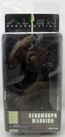 Aliens 9 Inch Action Figure Series 14 - Alien Warrior