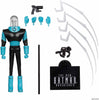 DC Direct The New Batman Adventures 6 Inch Action Figure Wave 5 - Mr. Freeze