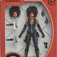 Marvel Legends Deadpool 6 Inch Action Figure - Domino