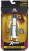 Marvel Legends Infinite 6 Inch Action Figure Exclusive - Mystique