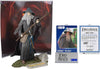 Movie Maniacs 6 Inch Action Figure Wave 2 - Gandalf (Lord Of The Rings)