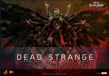 Multiverse Of Madness 12 Inch Action Figure 1/6 Scale - Dead Strange Hot Toys 911214