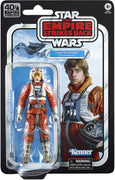 Star Wars 40th Anniversary 6 Inch Action Figure (2020 Wave 2) - Luke Skywalker (Snowspeeder)