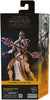 Star Wars The Black Series 6 Inch Action Figure Box Art (2023 Wave 2A) - Magna Guard