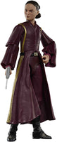 Star Wars The Black Series 6 Inch Action Figure Box Art (2024 Wave 1B) - Padme Amidala