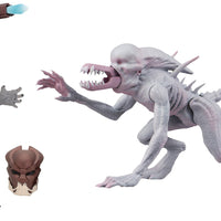 Alien & Predator Classics 5 Inch Action Figure Series 1 - Set of 2 (Berserker Predator - Neomorph Alien)