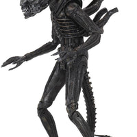 Aliens 40th Anniversary 7 Inch Action Figure Ultimate Series - Big Chap