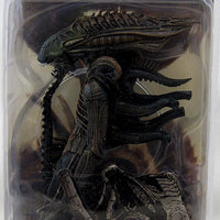 Aliens 7 Inch Action Figure Series 11 - Alien Xenomorph
