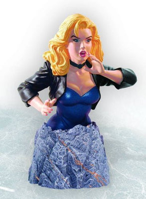 DC Collectible 5 Inch Bust Statue  - Black Canary Mini Bust