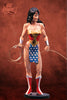 DC Direct Re Activated Series 2 Action Figures: Kingdom Come Wonder Woman (Sub-Standard Packaging)