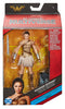 DC Multiverse 6 Inch Action Figure Ares Series - Diana Of Themyscira (Piece #3)