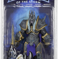 Heroes Of The Storm 7 Inch Action Figure Series 2 - Arthas (World of Warcraft)