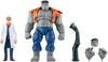 Marvel Legends Avengers 6 Inch Action Figure 2-pack - Gray Hulk and Dr Bruce Banner