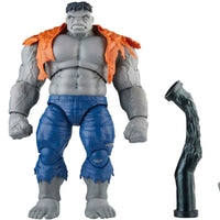 Marvel Legends Avengers 6 Inch Action Figure 2-pack - Gray Hulk and Dr Bruce Banner