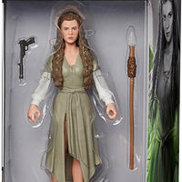 Star Wars The Black Series 6 Inch Action Figure Box Art (2022 Wave 2) - Princess Leia (Ewok Village)