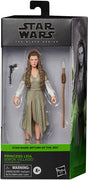 Star Wars The Black Series 6 Inch Action Figure Box Art (2022 Wave 2) - Princess Leia (Ewok Village)