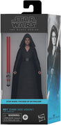 Star Wars The Black Series Box Art 6 Inch Action Figure Wave 3 - Rey Dark Side Vision