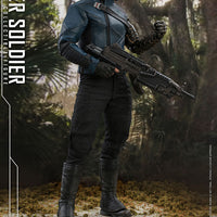 The Falcon and The Winter Soldier 12 Inch Action Figure 1/6 Scale - Winter Soldier Hot Toys 908033