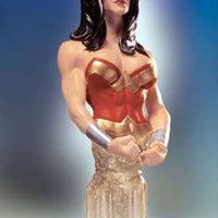 Women Of DC Universe 6 Inch Bust Statue Series 1 - Wonder Woman (Previsouly Opened and Displayed)
